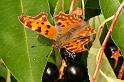 ZZ_ZZ434_D5870_Z_90_Badhoevedorp_Nederland