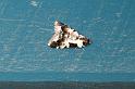 ZZ_ZZXYX_D4178_Z_85_Badhoevedorp_Nederland