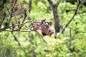ZZ_ZZXYX_F1135_Z_80_Vernet-les-Bains_Frankrijk