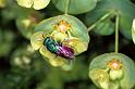 ZZ_ZZXYX_F1208_Z_75_Laprade_Frankrijk
