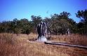 ZZ_ZZXYX_P1548_Z_75_Litchfield_Australie