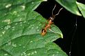 ZZ_ZZXYX_D3092_Z_86_Badhoevedorp_Nederland