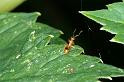 ZZ_ZZXYX_D3093_Z_84_Badhoevedorp_Nederland