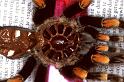 Brachypelma_smithi_P1451_Z_92_Badhoevedorp_Nederland