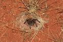 ZZ_ZZXYX_D5643_Z_85_Kulgera_Australie