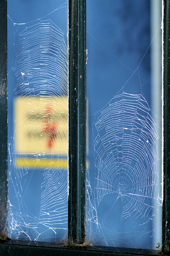 Web