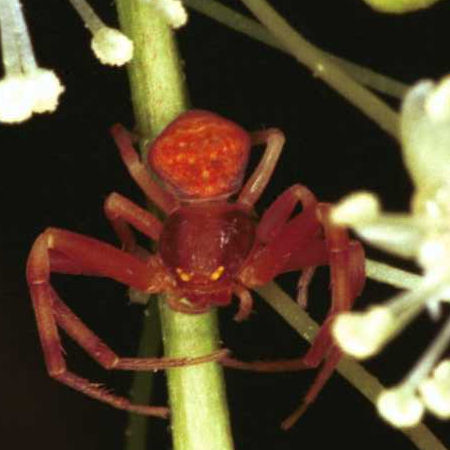 ZZ149
